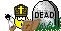 title=